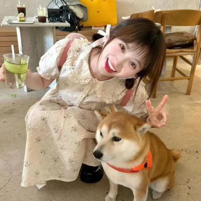 鬣狗之城